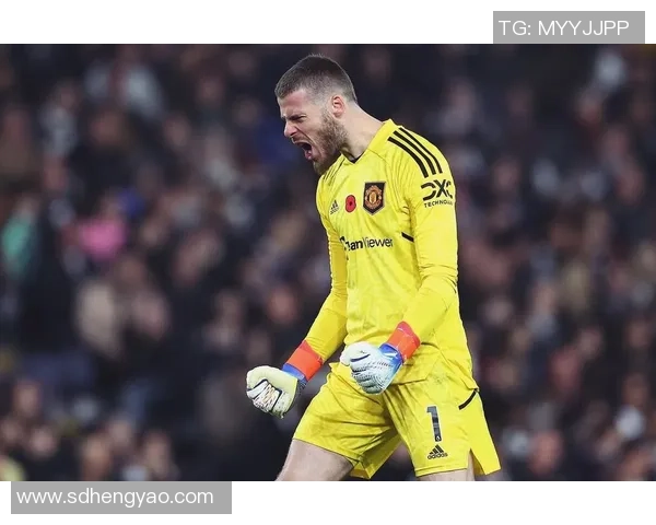 吉格斯传奇之路:从曼联青训到全球足球巨星的辉煌历程 吉格斯传奇之路:从曼联青训到全球足球巨星的辉煌历程