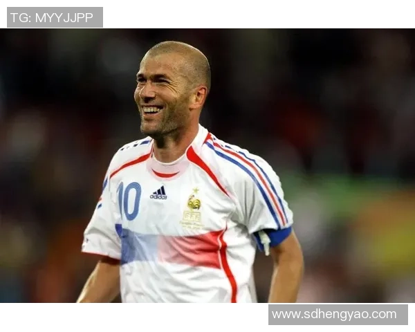 法国足球明星的成长轨迹与成就分析